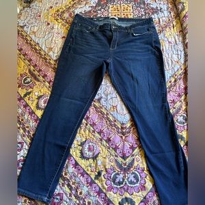 Sonoma Blue Skinny Jeans -short